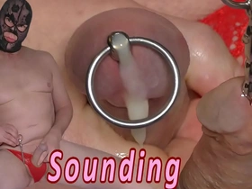 Daring BDSM session with urethral play and explosive climax