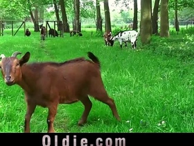 Young and old come together in forbidden step family lust